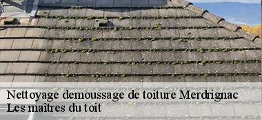 Nettoyage demoussage de toiture  22230