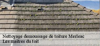 Nettoyage demoussage de toiture  22460