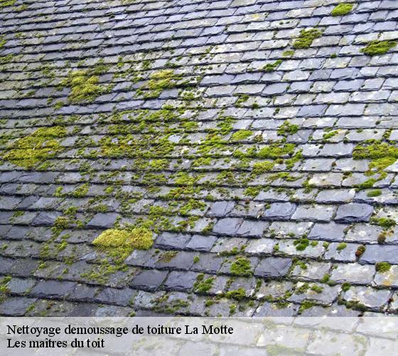 Nettoyage demoussage de toiture  22600