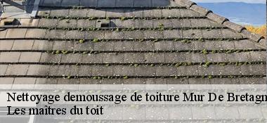 Nettoyage demoussage de toiture  22530