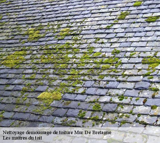 Nettoyage demoussage de toiture  22530