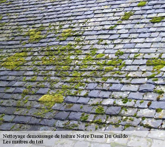 Nettoyage demoussage de toiture  22380