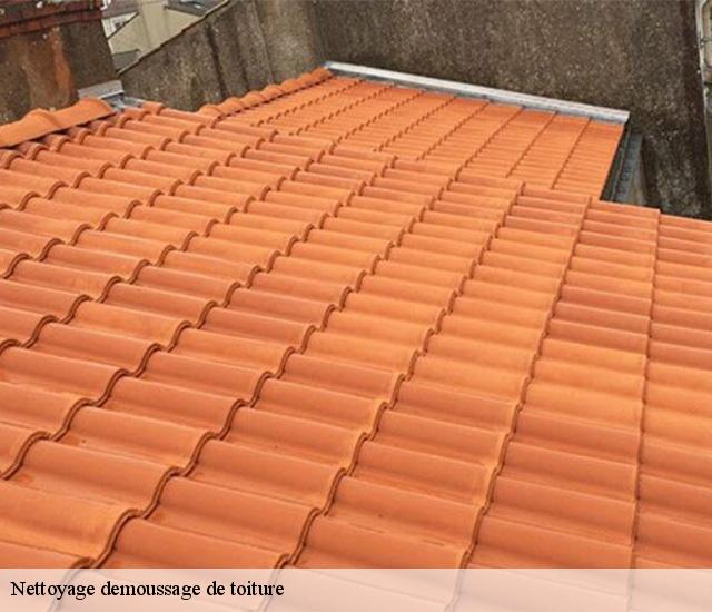 Nettoyage demoussage de toiture  22550