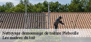 Nettoyage demoussage de toiture  22550