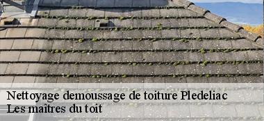 Nettoyage demoussage de toiture  22270