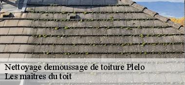 Nettoyage demoussage de toiture  22170