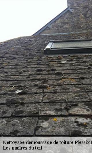 Nettoyage demoussage de toiture  22650