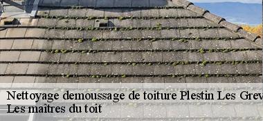 Nettoyage demoussage de toiture  22310