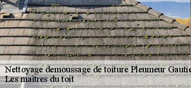 Nettoyage demoussage de toiture 22740