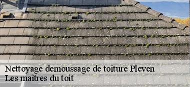 Nettoyage demoussage de toiture 22130