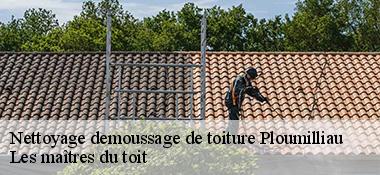 Nettoyage demoussage de toiture  22300