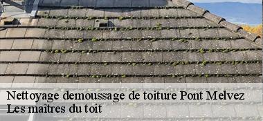 Nettoyage demoussage de toiture  22390