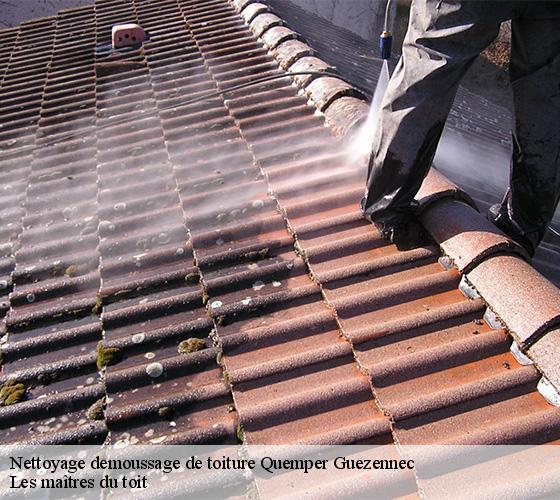 Nettoyage demoussage de toiture  22260