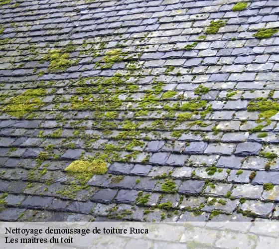 Nettoyage demoussage de toiture  22550
