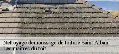 Nettoyage demoussage de toiture 22400