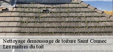 Nettoyage demoussage de toiture 22530