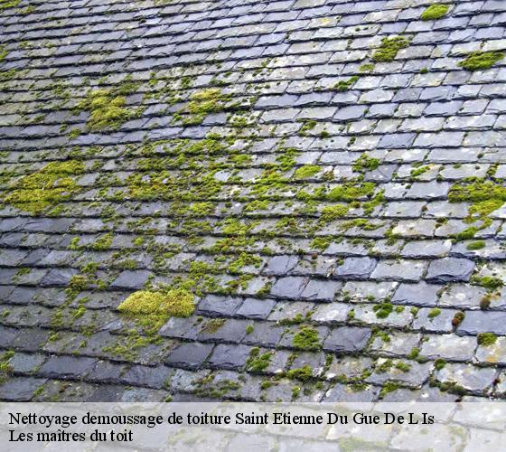 Nettoyage demoussage de toiture 22210