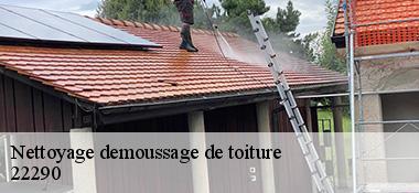 Nettoyage demoussage de toiture  22290