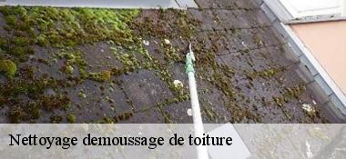 Nettoyage demoussage de toiture 22270
