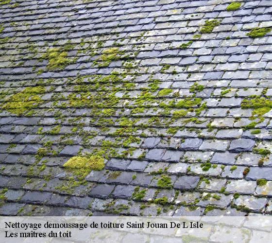 Nettoyage demoussage de toiture 22350