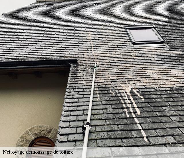 Nettoyage demoussage de toiture 22630