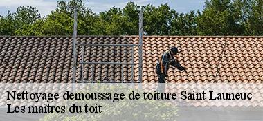 Nettoyage demoussage de toiture  22230