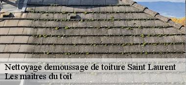 Nettoyage demoussage de toiture  22140