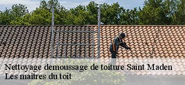Nettoyage demoussage de toiture  22350
