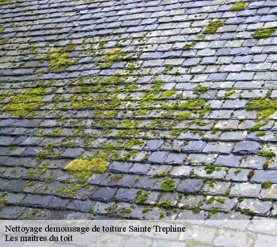 Nettoyage demoussage de toiture  22480