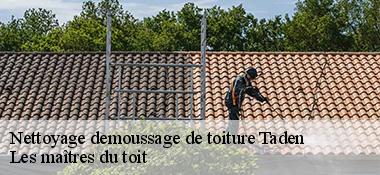 Nettoyage demoussage de toiture  22100