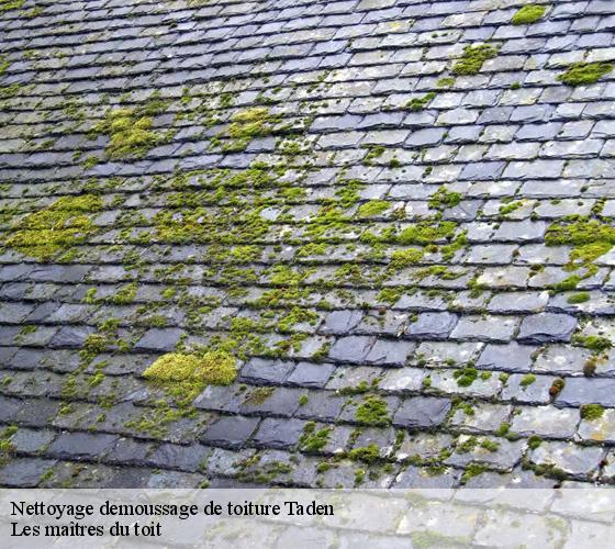 Nettoyage demoussage de toiture 22100