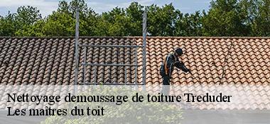 Nettoyage demoussage de toiture  22310