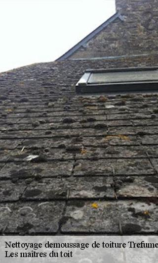 Nettoyage demoussage de toiture 22630
