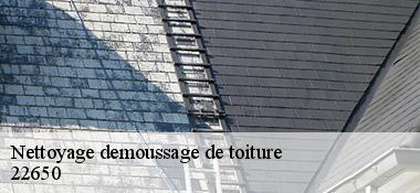 Nettoyage demoussage de toiture 22650