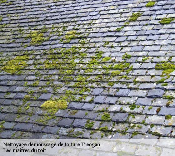 Nettoyage demoussage de toiture 22340