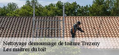 Nettoyage demoussage de toiture  22450