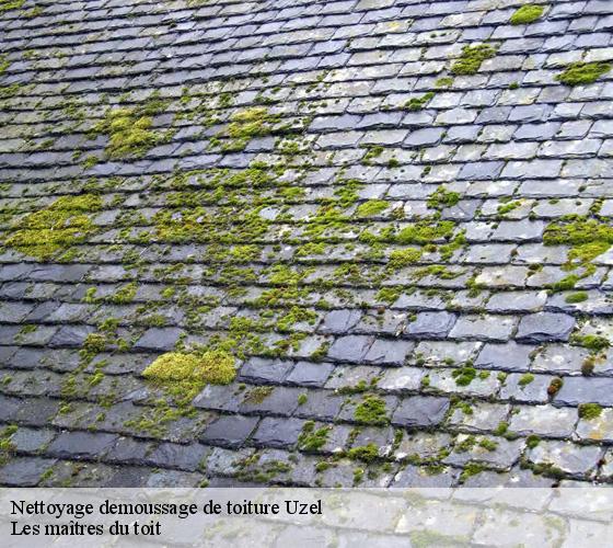 Nettoyage demoussage de toiture 22460