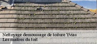 Nettoyage demoussage de toiture  22930