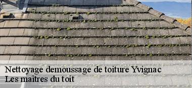 Nettoyage demoussage de toiture 22350