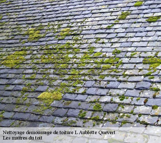 Nettoyage demoussage de toiture 22100
