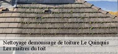 Nettoyage demoussage de toiture  22540