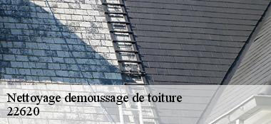 Nettoyage demoussage de toiture 22620