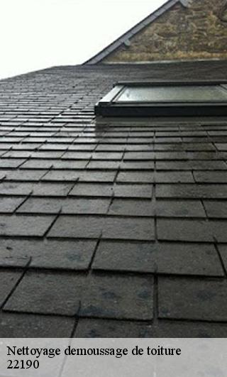Nettoyage demoussage de toiture  22190