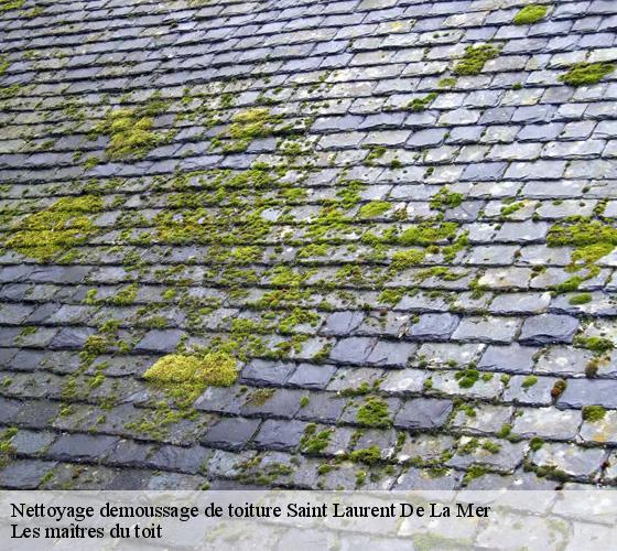 Nettoyage demoussage de toiture  22190