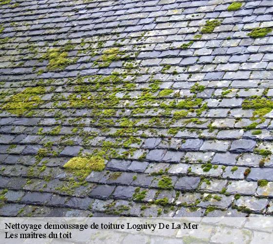 Nettoyage demoussage de toiture  22620