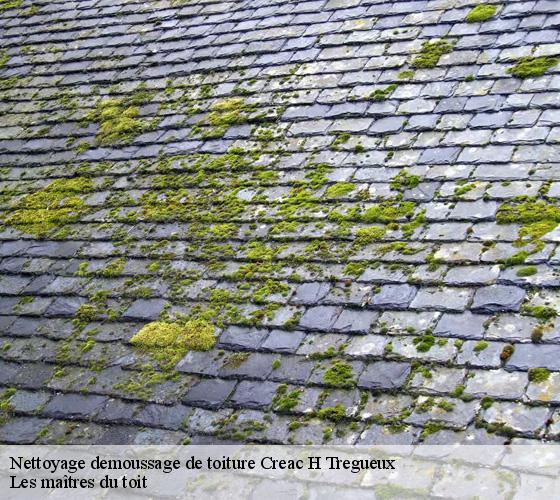 Nettoyage demoussage de toiture  22950