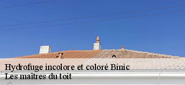 Hydrofuge incolore et coloré  22520