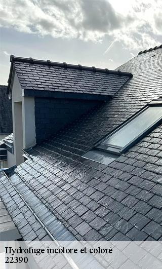 Hydrofuge incolore et coloré 22390