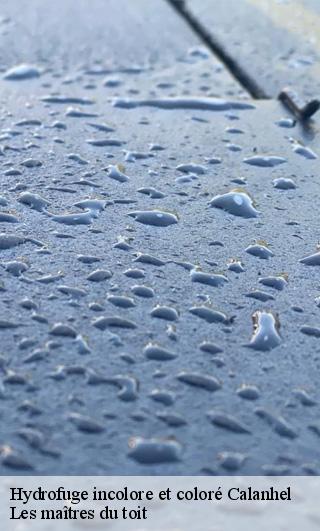 Hydrofuge incolore et coloré  22160