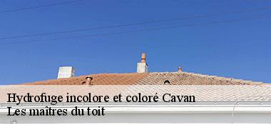 Hydrofuge incolore et coloré  22140